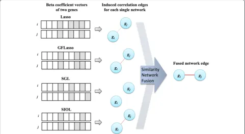 Fig. 2 Illustration of regression network construction from regression coefficients. Two beta coefficients with similar effects for two differentgenes were fused using similarity measurement