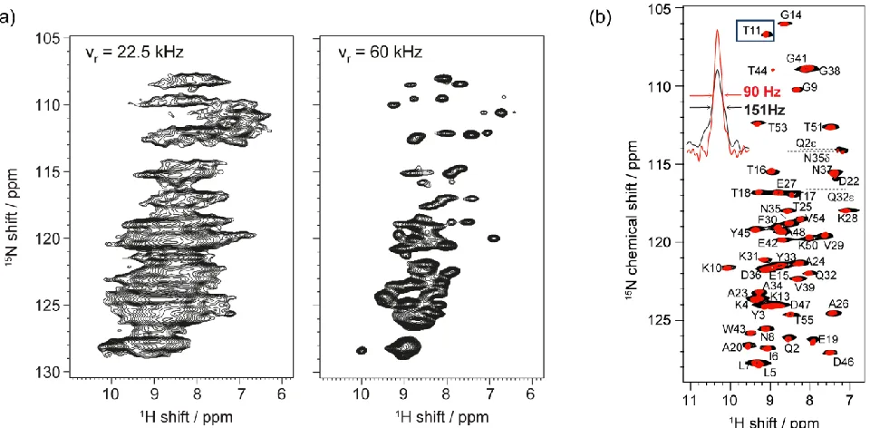 Figure 1. (a) CP-HSQC spectra at 18.8 T (800 MHz  1H NMR frequency) of a fully protonated sample of single-stranded-DNA binding protein at MAS frequencies of (left) 22.5 kHz and (right) 60 kHz respectively