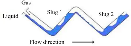 Fig. 1. Slug flow induced by a hilly terrain. The liquid phase is accumulated in the lower elbows, producing slug flow in the upward sections