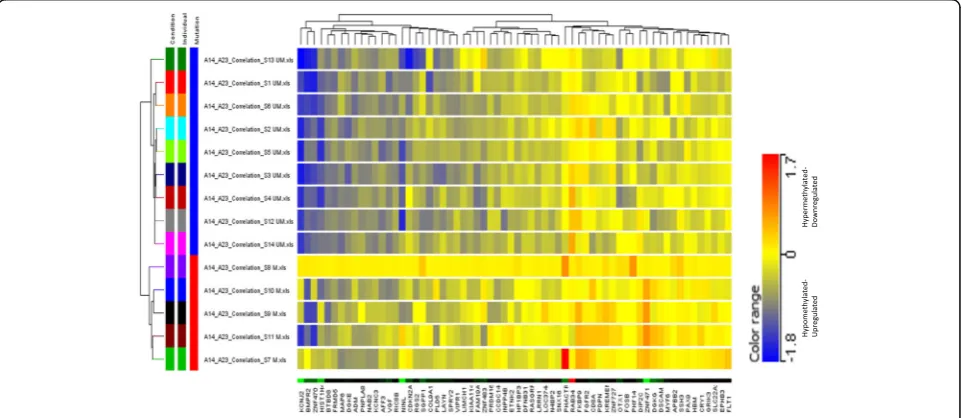 Fig. 3 Supervised hierarchical clustering of hypermethylated-dowregulated and hypomethylated -upregulated genes selected on the basis of significantlog2FC values in IGHV mutated (n = 05) Vs