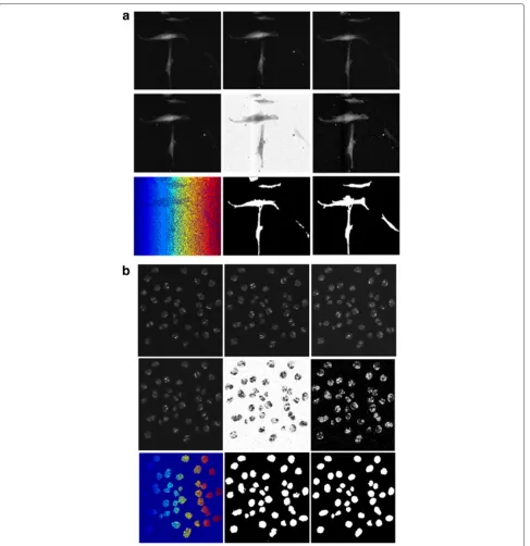 Fig. 5 Intermediate results produced by ST-Diff-TCV on sample frames of a C2DL-MSC02 and b N2DH-SIM04 data sequences