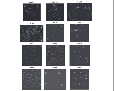 Table 1 Image sequence properties and quality using Signal-to-Noise Ratio (SNR) and Contrast-to-Noise Ratio (CNR)