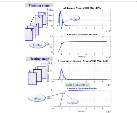 Fig. 1 (Training stage) Probability density function of 48 frames of C2DL−MSC02 dataset and cumulative distribution function