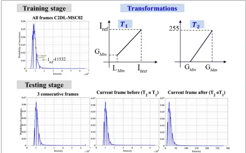 Fig. 2 Histogram of all concatenated images of the C2DL-MSC02 dataset, and linear transformations and scaling of each pixel of the image (top row,left to right)