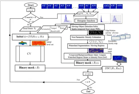 Fig. 4 Outline of the proposed joint spatio-temporal nonlinear diffusion algorithm and temporally linked level sets methods (ST-Diff-TCV)