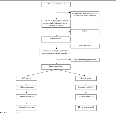 Fig. 1 Overview study diagram