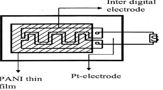 Fig. 1. Schematic diagram of inter digited PANI thin film prepared via plasma polymerization technique based NO2 sensing probe