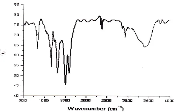Fig. 5. SEM image of the PANI inter-digited thin film electrode prepared through pulsed plasma technique