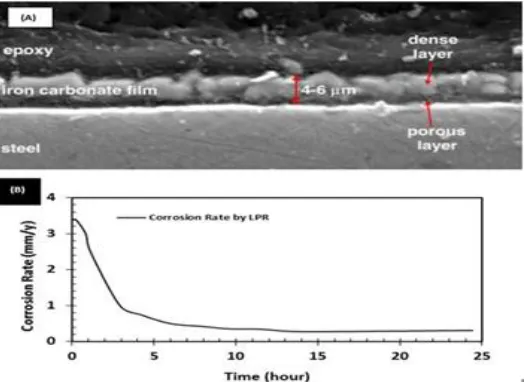 Figure 3. (A) Cross sectional SEM image of a steel specimen layer. Image (B) shows the experimentally measured corrosion shows formation of a dense and protective iron carbonate rate by LPR technique; reduction n of corrosion rate due to formation of prote