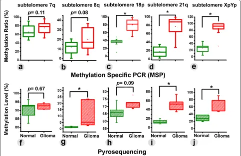 Fig. 2 The difference in subtelomeric DNA methylation ratio, as obtained from MSP between control and glioma patients were found significantfor Chr