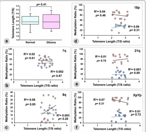 Fig. 5 Relationship between subtelomeric methylation status and telomere length in glioma