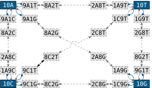 Fig. 1. The alphabet of revPoMo and its connectivity forrows indicate mutations and genetic drift, respectively
