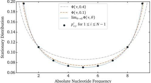 Fig. 2. A comparison of the stationary solution of the diffusion equation (νmalized such that the polymorphic elements integrate to one and the domain ofhas been expanded fromwith the polymorphic elements of the stationary distribution of revPoMo forWright