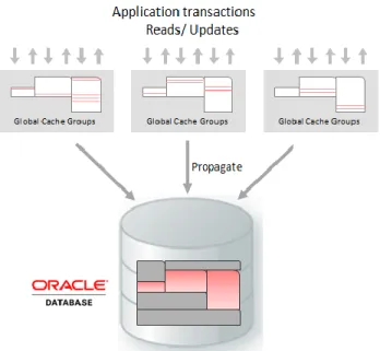 Figure 5 shows a Cache Grid consisting of three Grid Members.  All grid members cache the same Global Cache  Group, and each grid member has in its cache only a few Cache Instances from the Global Cache Group