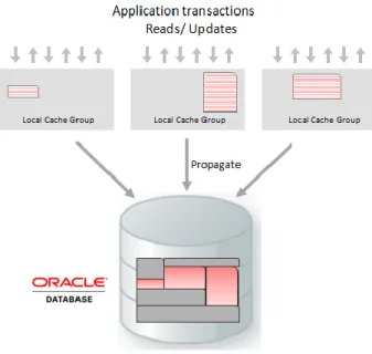 Figure 6. Update Propagation and Updatable Local Cache Groups 