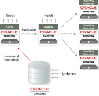 Figure 8. Read-Only Cache Groups Using Active-Standby Pair Configuration 