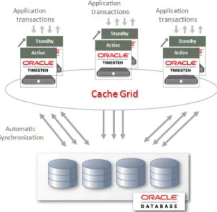Figure 4. Cache Grid with Three Replicated Grid Members 