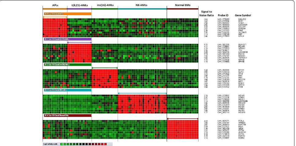 Figure 1 Heatmap of the 40 markers used to define the four AML classifiers allowing the assignment of all Training Set AML samplesto the correct class