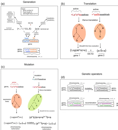 Figure 3. GEP evolution process components. (a) Initial random generation of genes for creating chromosomes, the individuals evolvedby GEP