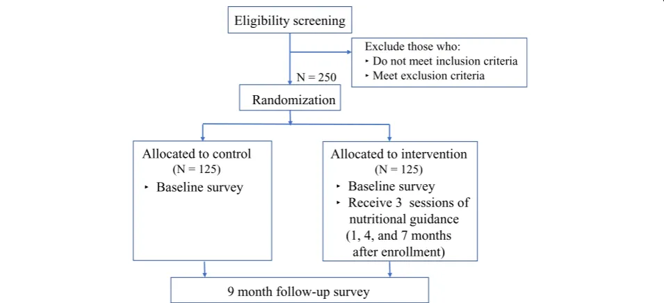 Fig. 1 Overview of the study protocol