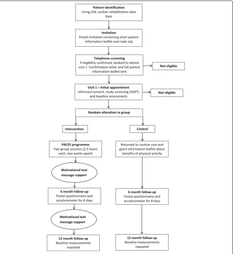 Fig. 1 Flowchart of research procedures