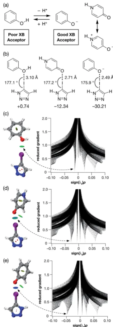 Fig. 1(a) The phenol-phenoxide acid–base pair as pH responsive