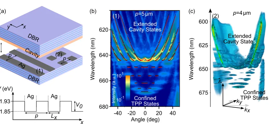 Figure 1 (a) Sample schematic of the microcavity with patterned metal layers. On top of the bottom DBR, a thin layer of silver is(2)) with a period of 4patterned to obtain either 1D stripe- (type (1)) or 2D dot- (type (2)) and hole- gratings