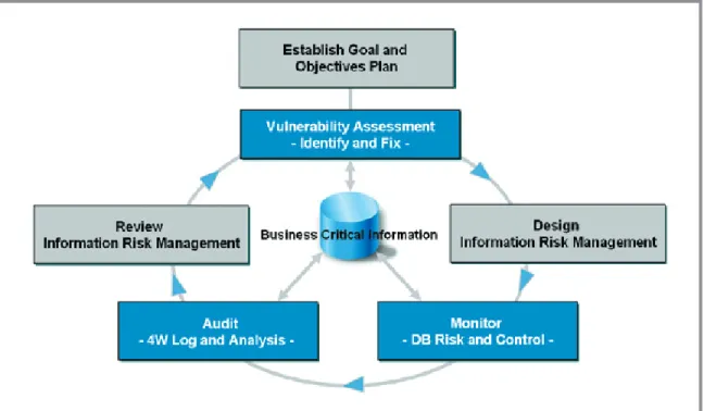 Figure 1: The IPLocks Information Risk Management process.