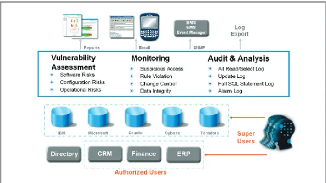 Figure 3: IPLocks solution monitors both remote and local databases within the enterprise
