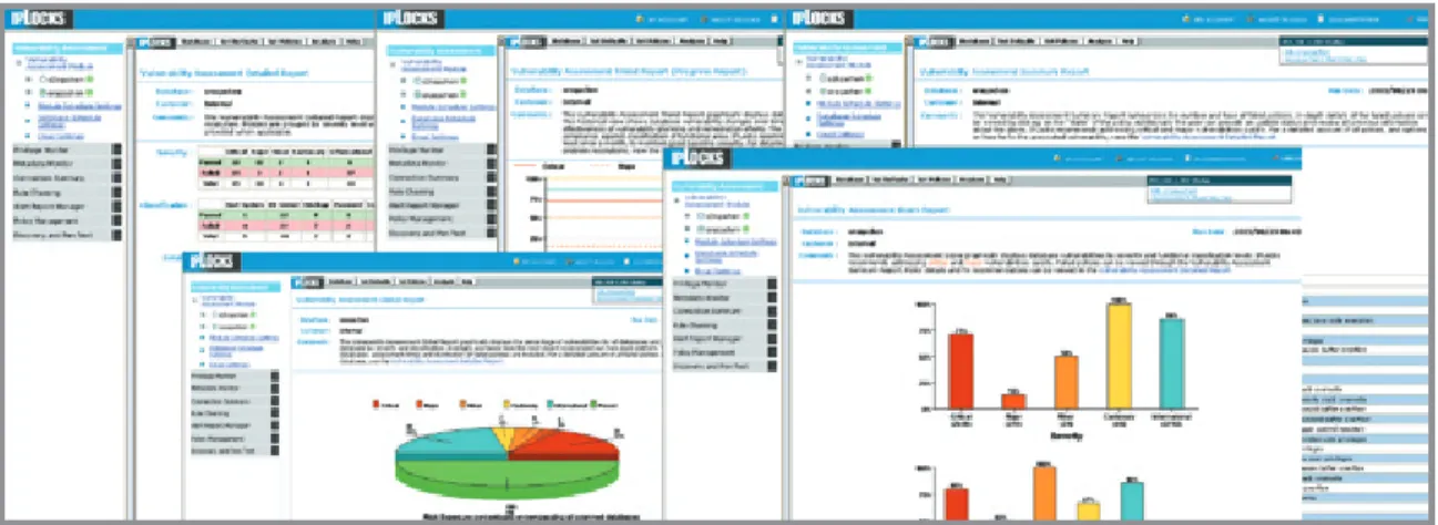 Figure 4: Vulnerability Assessment Reports. 