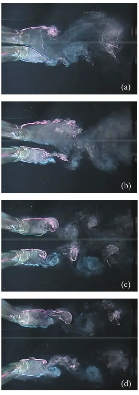 Fig. 5. Representative flow patterns,  (a) Single vortex 