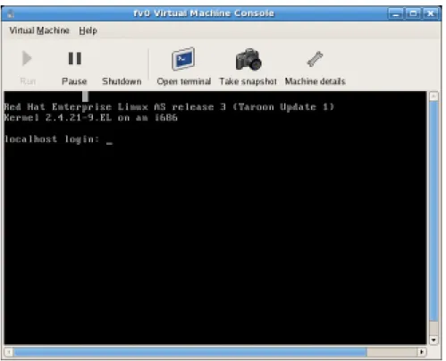 Figure 18.4. Graphical Console window