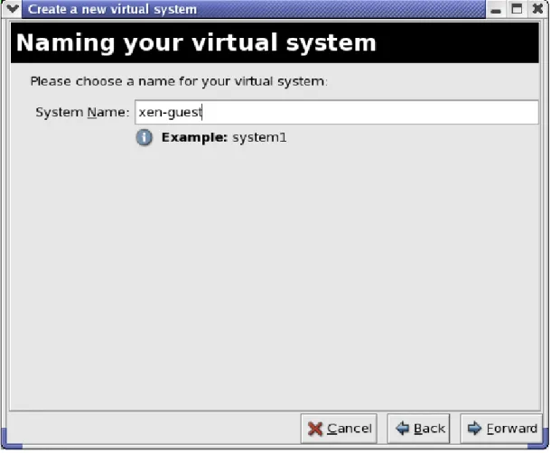 Figure 18.9. Naming the Virtual System