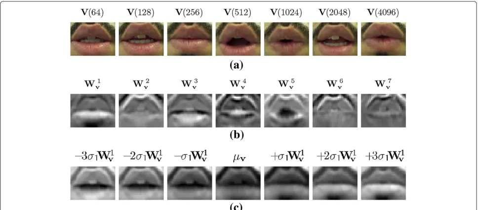 Figure 1 Visual modality: data and parametrization.from train set of the poet verses corpus.eigenvalue ( (a) Shows some frames (k = 64, 128, 256, 512, 1024, 2048 and 4096) of visual input V(k) (b) Shows top seven eigen-lips Wiv with largest eigenvalues