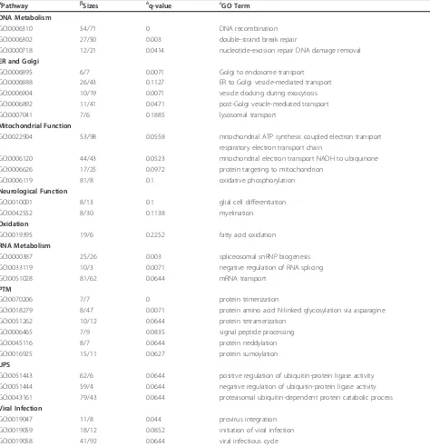Table 3 SAFE gene ontology pathways related to Biological Processes affected in peripheral blood lymphocytes fromALS patients