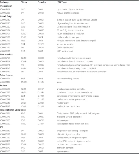 Table 4 SAFE gene ontology pathways related to Cellular Components affected in peripheral blood lymphocytes fromALS patients