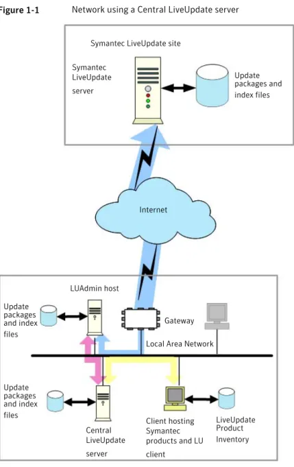 Figure 1-1 Network using a Central LiveUpdate server Internet Update packages andindex files LUAdmin host Client hosting Symantec products and LU client
