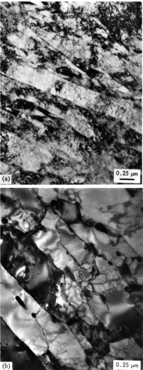 Fig. 7.  Transmission electron micrographs of 12Cr-1MoVW (HT9) steel in (a) normalized and  (b) normalized-and-tempered conditions