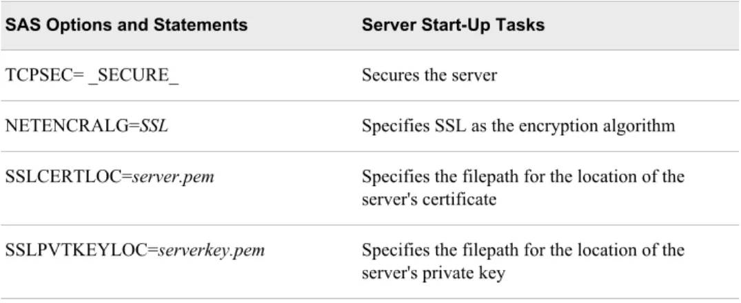 Table 5.4 SAS Options, Statements, and Arguments for Client Access to a SAS/CONNECT Server