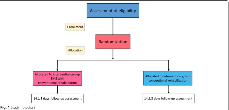 Fig. 1 Study flowchart