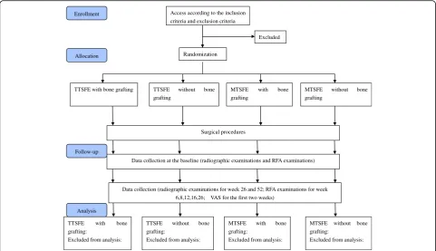 Fig. 1 Consolidated Standards of Reporting Trials (CONSORT) diagram of participant flow