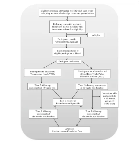 Fig. 1 CONSORT diagram showing study design