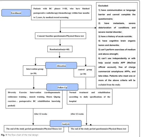 Fig. 1 The flow chart of the trial design