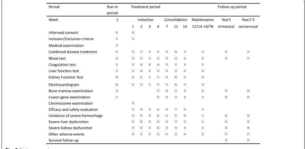 Fig. 3 Treatment groups