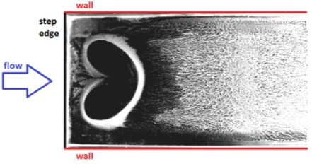 Fig. 1. The footprint behind the step in a narrow channel with the backward-facing step