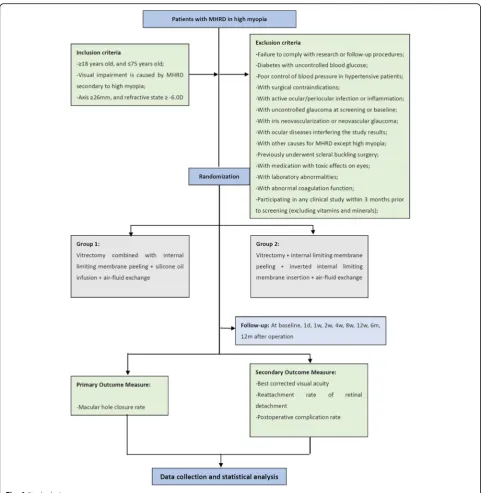 Fig. 1 Study design