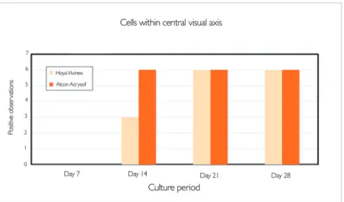 Figure 3. Cell growth on the central posterior capsule is suppressed by Vivinex relative to AcrySof.