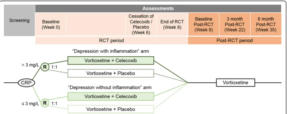 Fig. 1 Clinical timeline of the trial. Participants will complete assessment sessions fortnightly over the 8-week RCT period