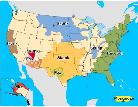 Table 1 indigenously acquired cases of human rabies from bats in the US and Canada (1950–2009)*