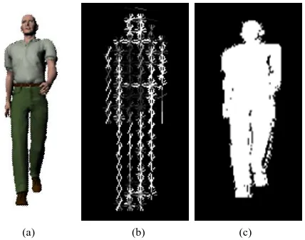 Figure 7. Feature extraction (a) CG image (b) HOG de-scriptor (c) silhouette. 